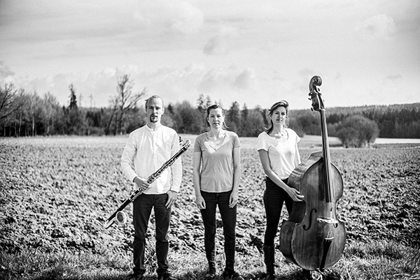 Ensemble Zeidlang Web